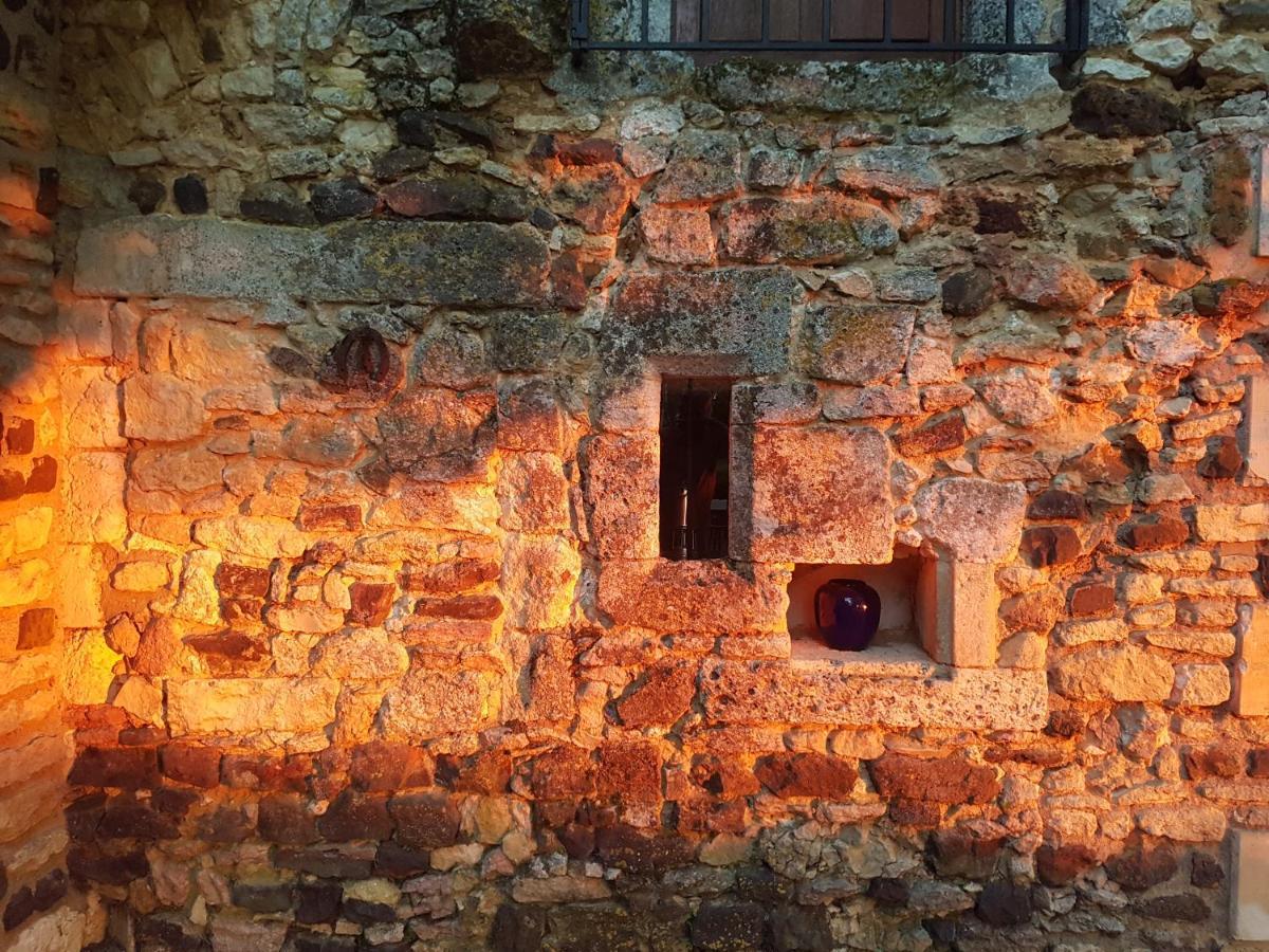 Maison Forte Perreuse Treigny Exteriér fotografie